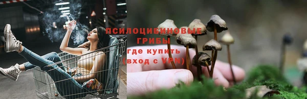 круглые Алексин