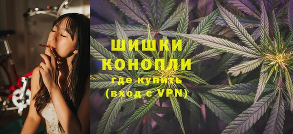 дмт Сатка