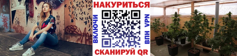 Конопля семена  мега маркетплейс  Карпинск  купить  